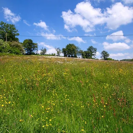 La Mancelliere De Montjoie D'hotes Et Saint-Michel-de-Montjoie